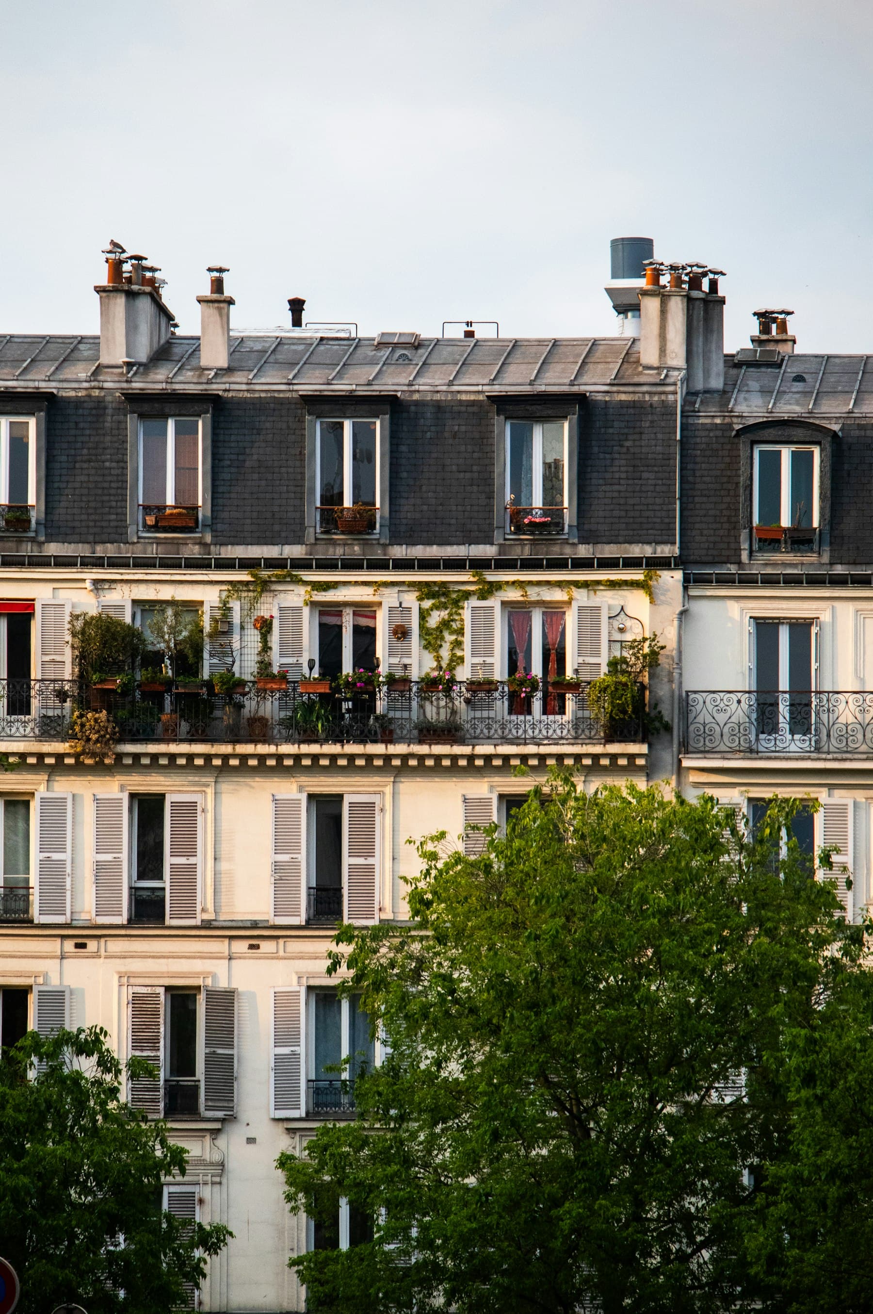 Façades élégantes d'appartements parisiens avec verdure
