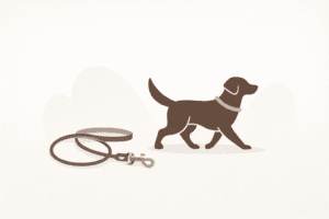 Garde et promenade d'animaux